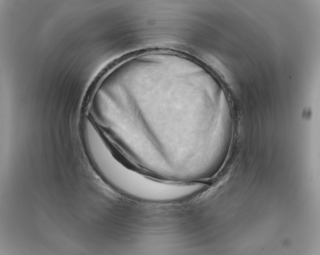 X0000090630924200708141431