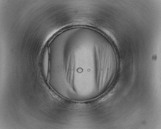 X0000090630925200708141431