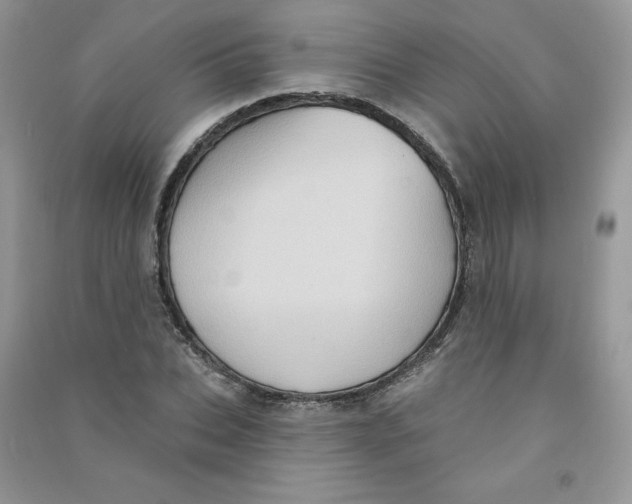 X0000090630927200708141431