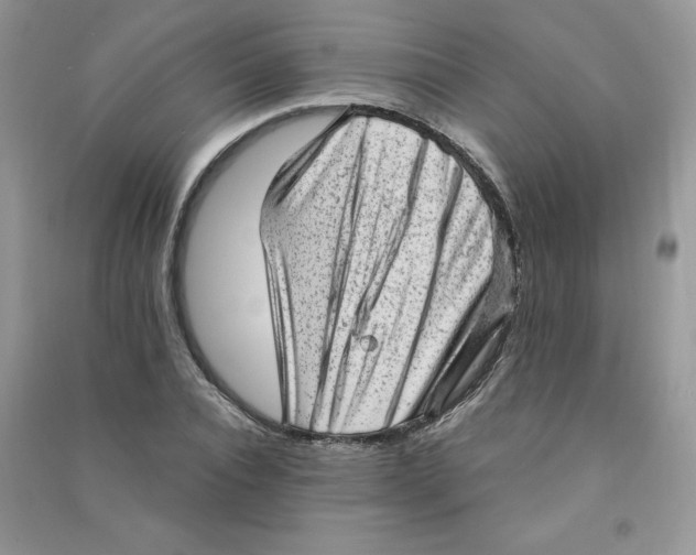 X0000090630928200708141431