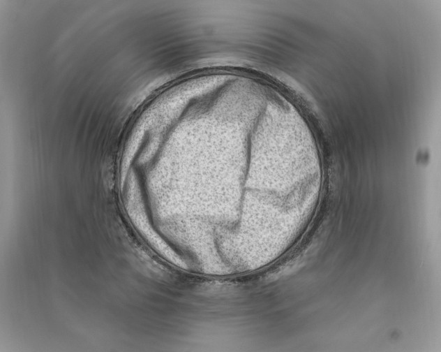 X0000090630929200708141431