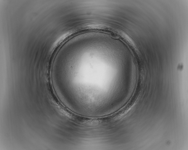 X0000090630930200708141431