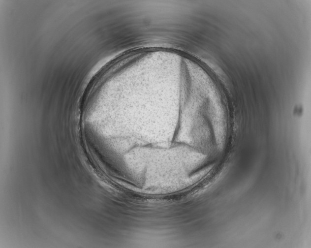 X0000090630933200708141431