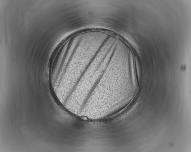 X0000090630934200708141431