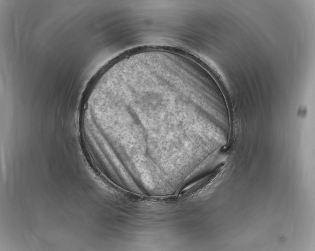 X0000090630935200708141431