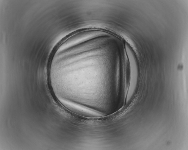 X0000090630936200708141431