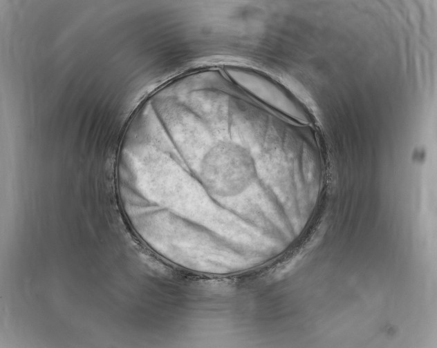 X0000090630937200708141431