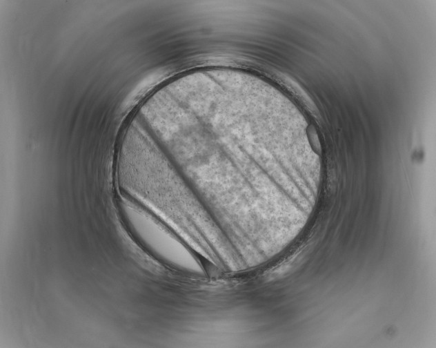 X0000090630938200708141431
