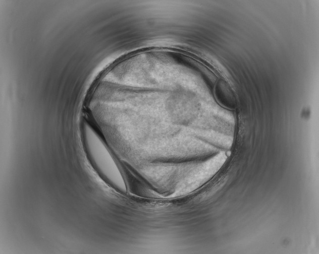 X0000090630939200708141431