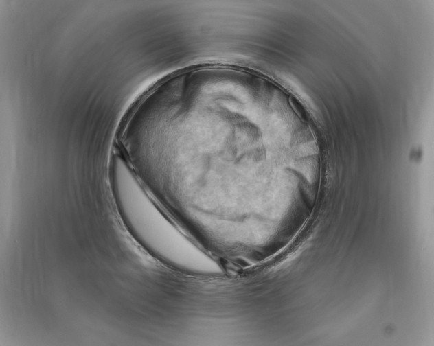 X0000090630940200708141431