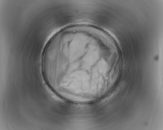 X0000090630941200708141431