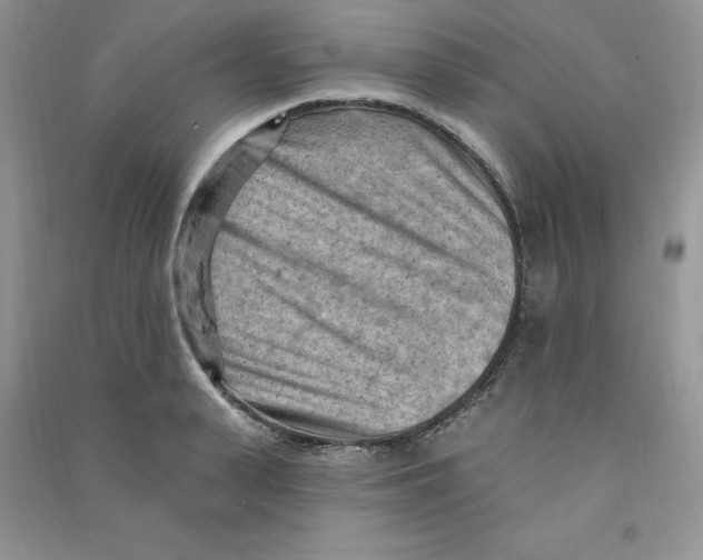 X0000090630943200708141431