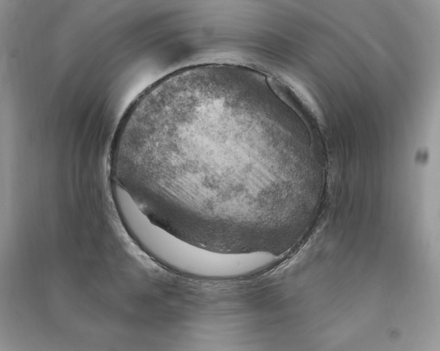 X0000090630944200708141431