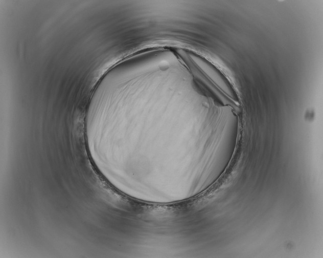 X0000090630945200708141431