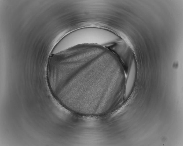 X0000090630946200708141431