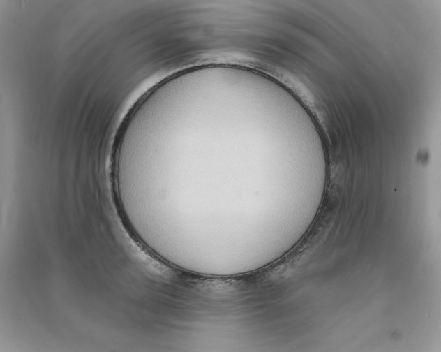 X0000090630947200708141431