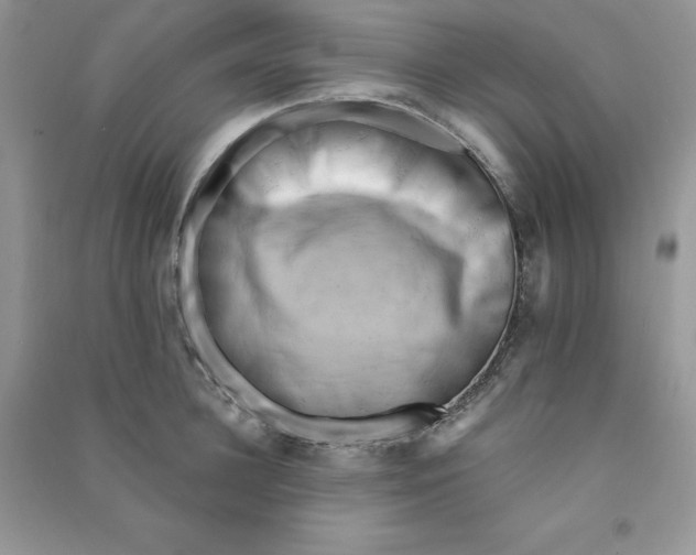 X0000090630948200708141431