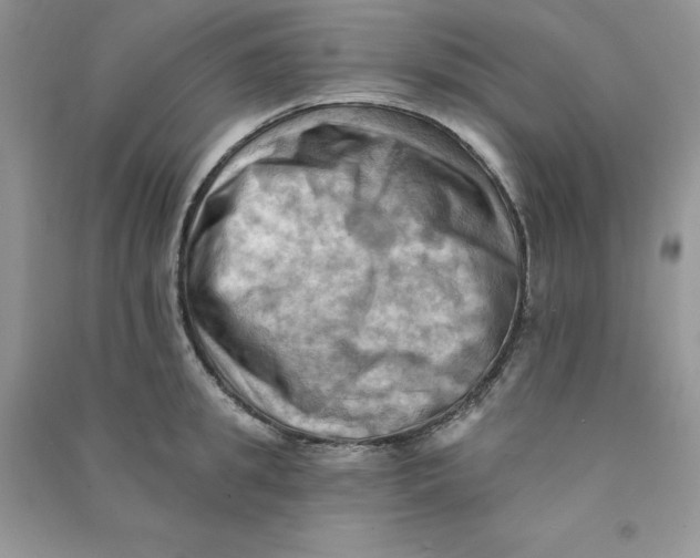 X0000090630949200708141431