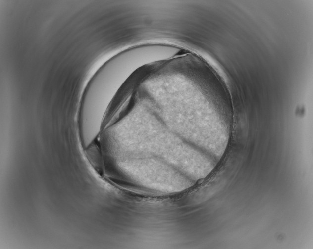 X0000090630951200708141431