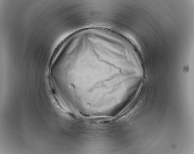 X0000090630952200708141431