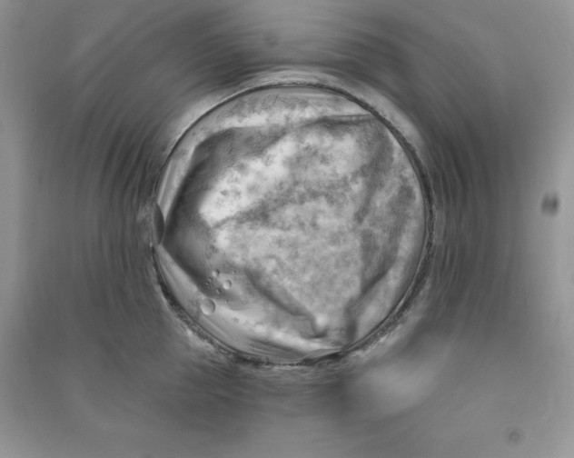 X0000090630953200708141431