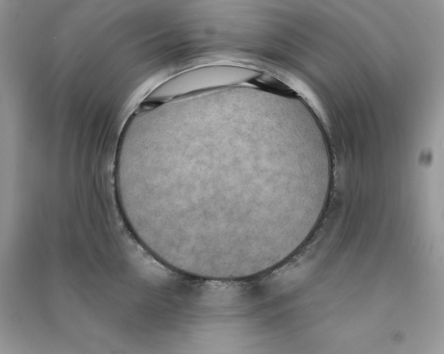 X0000090630954200708141431