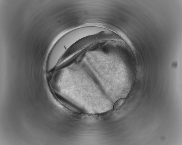 X0000090630955200708141431