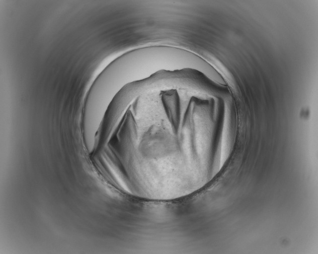 X0000090630956200708141431