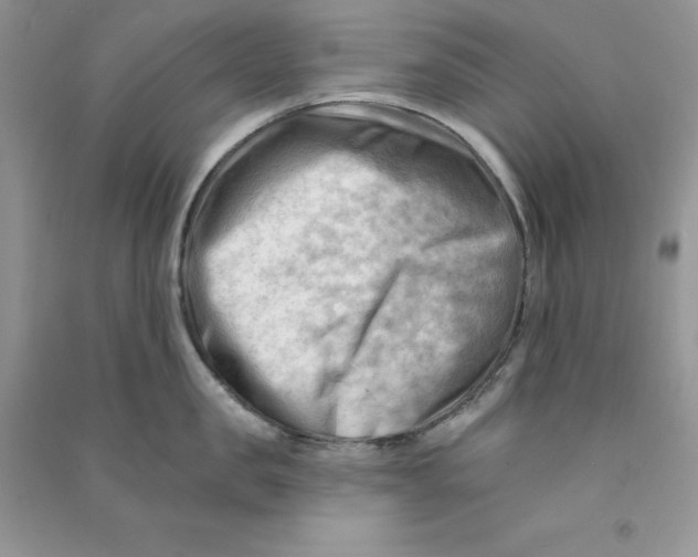 X0000090630957200708141432