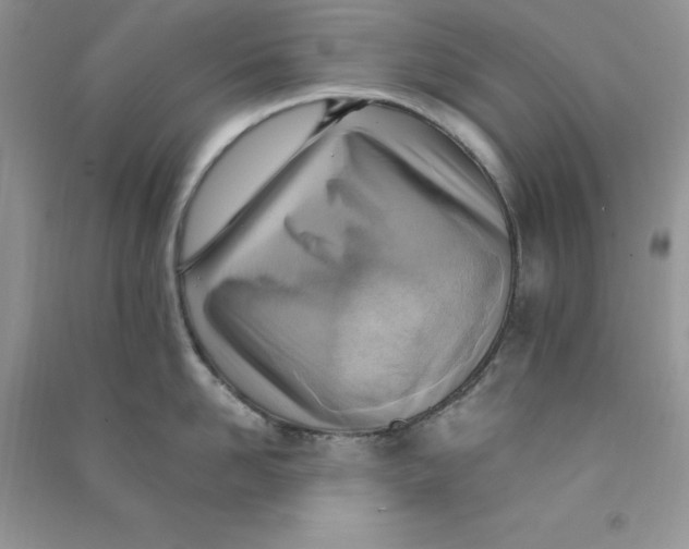 X0000090630958200708141432