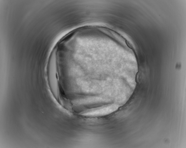 X0000090630959200708141432