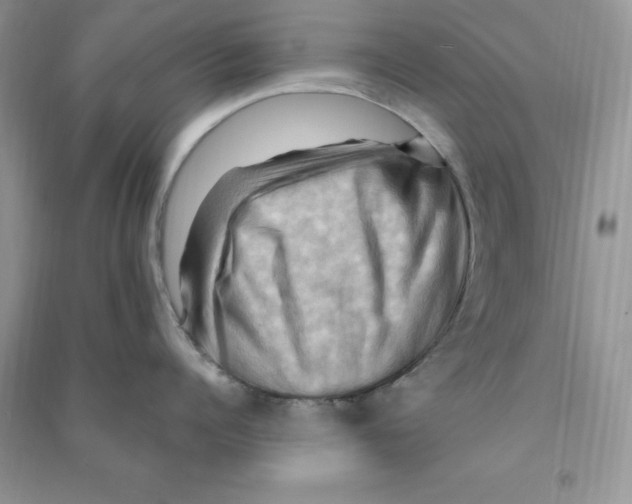 X0000090630960200708141432