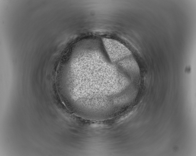 X0000090630961200708141431