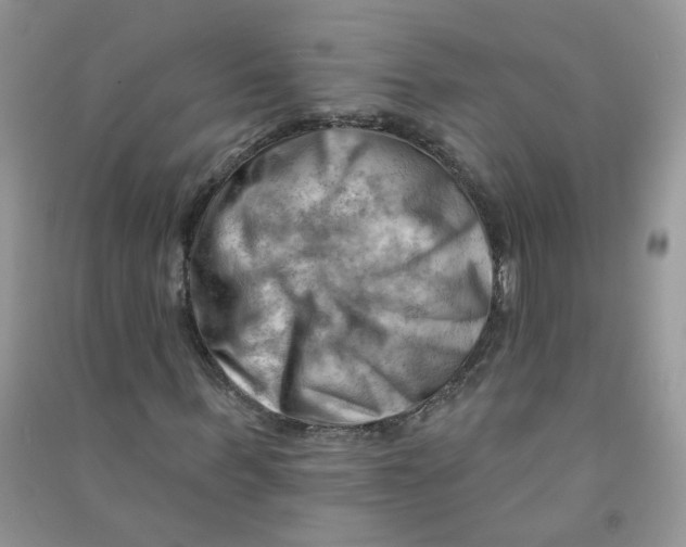 X0000090630963200708141431