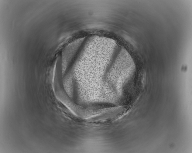 X0000090630965200708141431