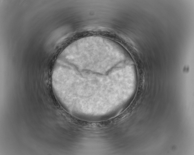 X0000090630966200708141431