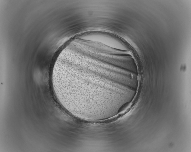 X0000090630969200708141431