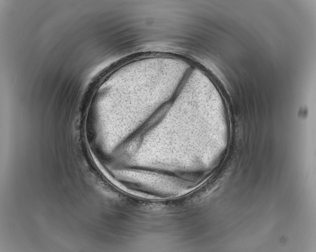 X0000090630971200708141431
