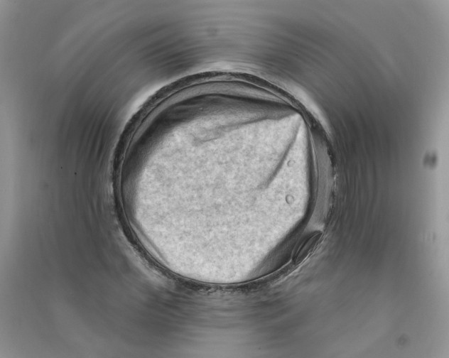 X0000090630972200708141431