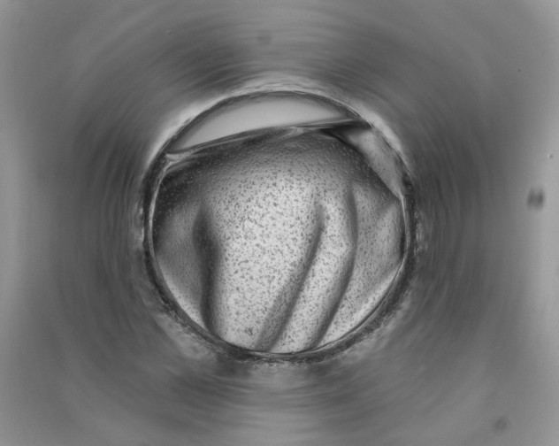 X0000090630973200708141431