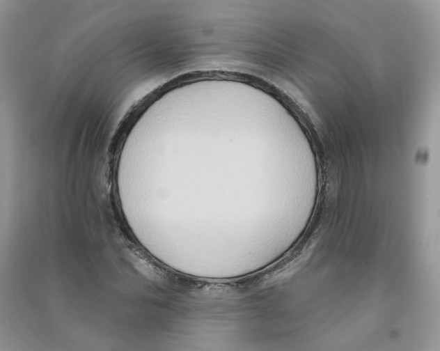 X0000090630974200708141431