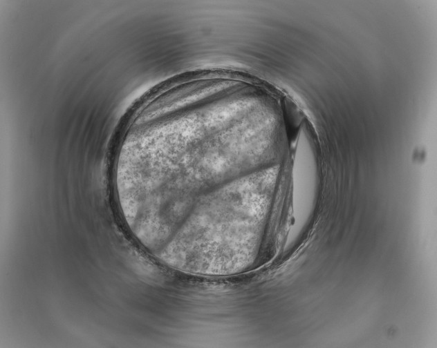 X0000090630975200708141431
