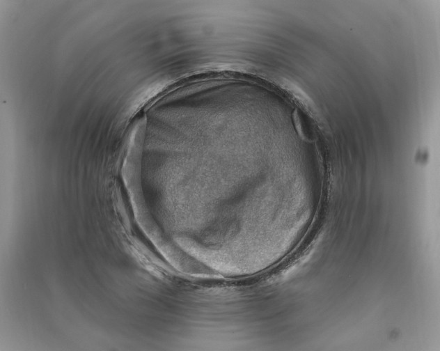 X0000090630977200708141431