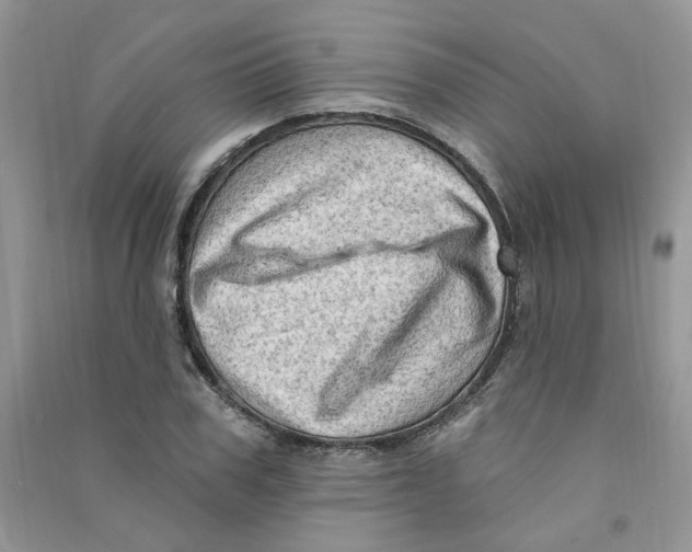X0000090630979200708141431
