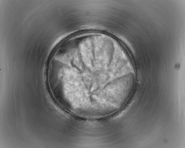 X0000090630983200708141430