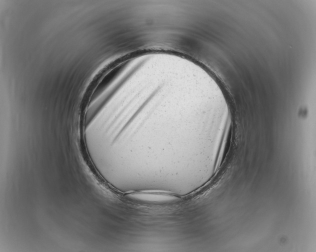 X0000090630984200708141430