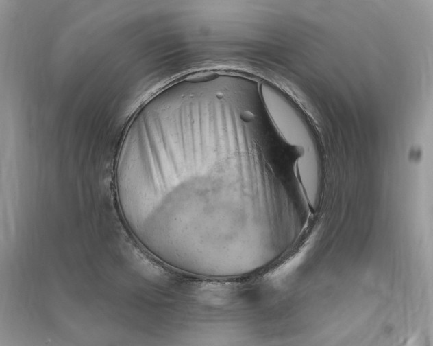 X0000090630985200708141430