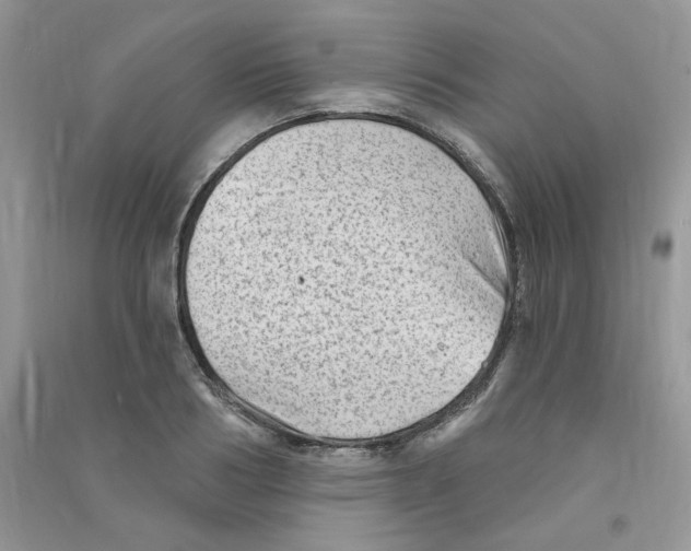 X0000090630986200708141430