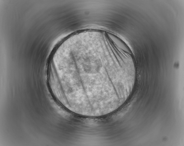 X0000090630987200708141430