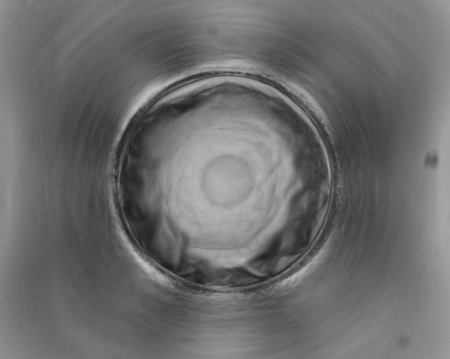 X0000090630989200708141430
